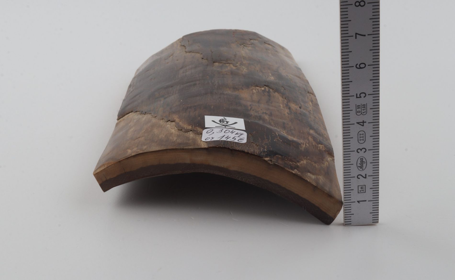 Brown mammoth bark