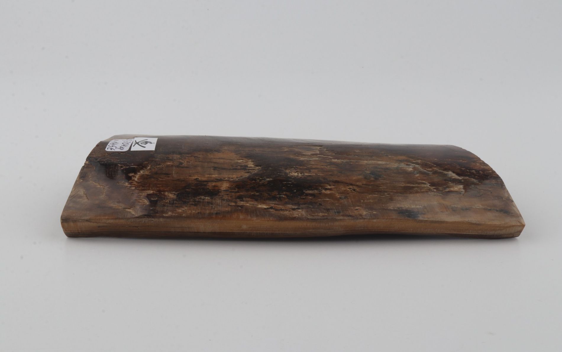 Brown mammoth bark