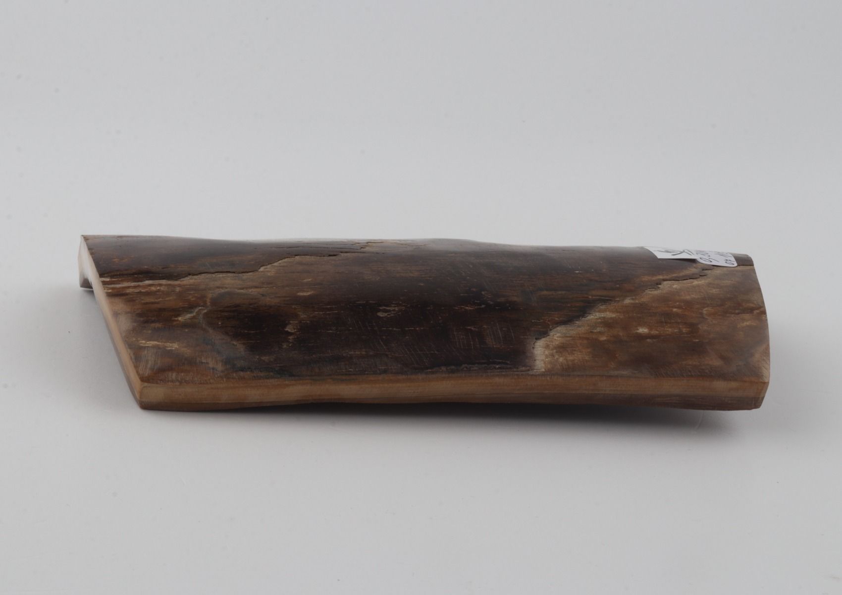 Brown mammoth bark