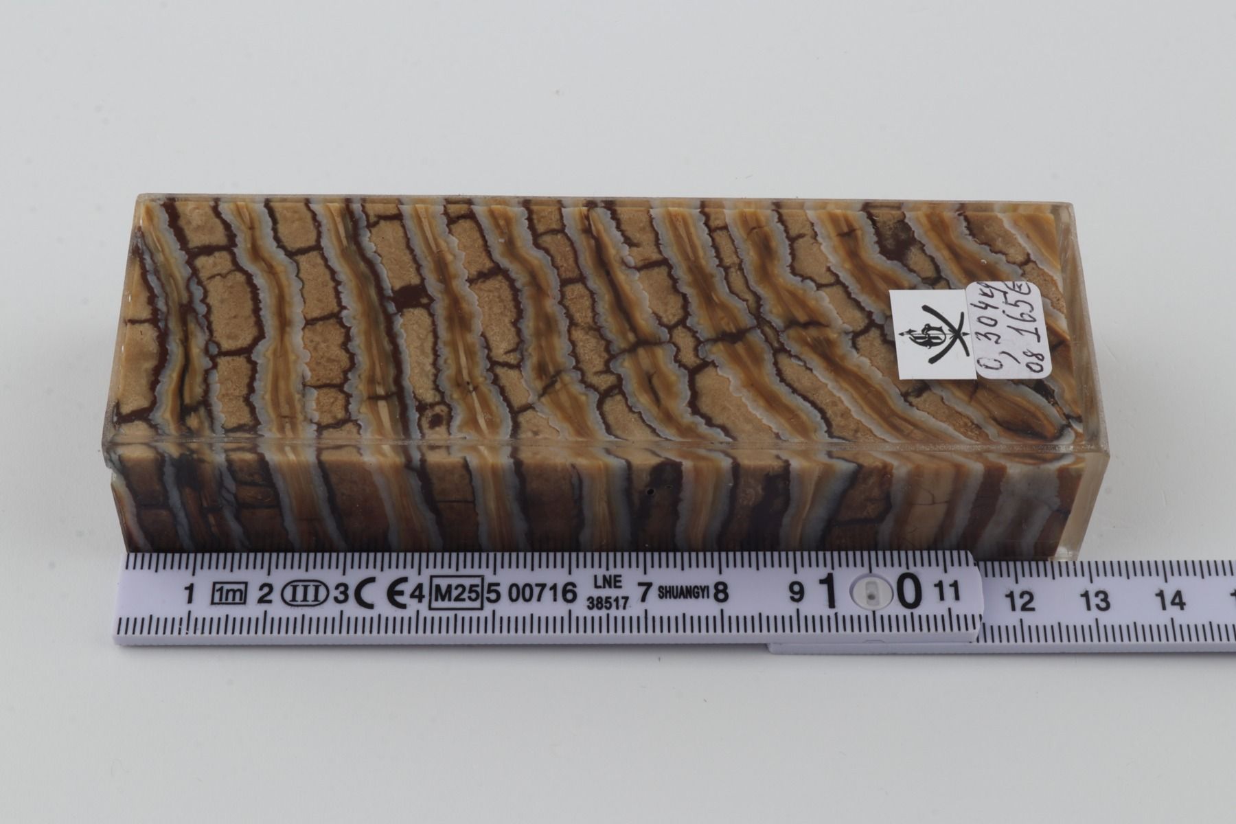 Stabilized mammoth molar block