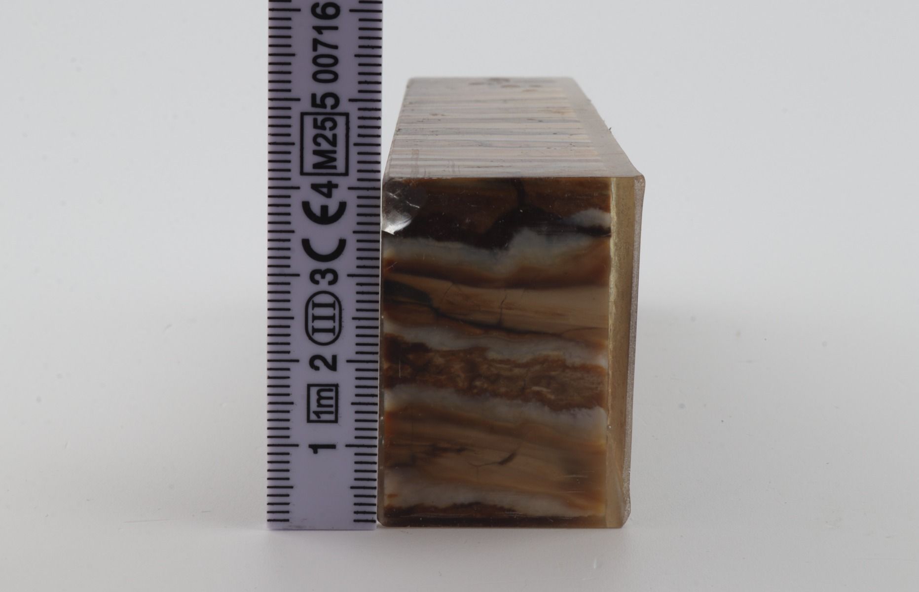 Stabilized mammoth molar block