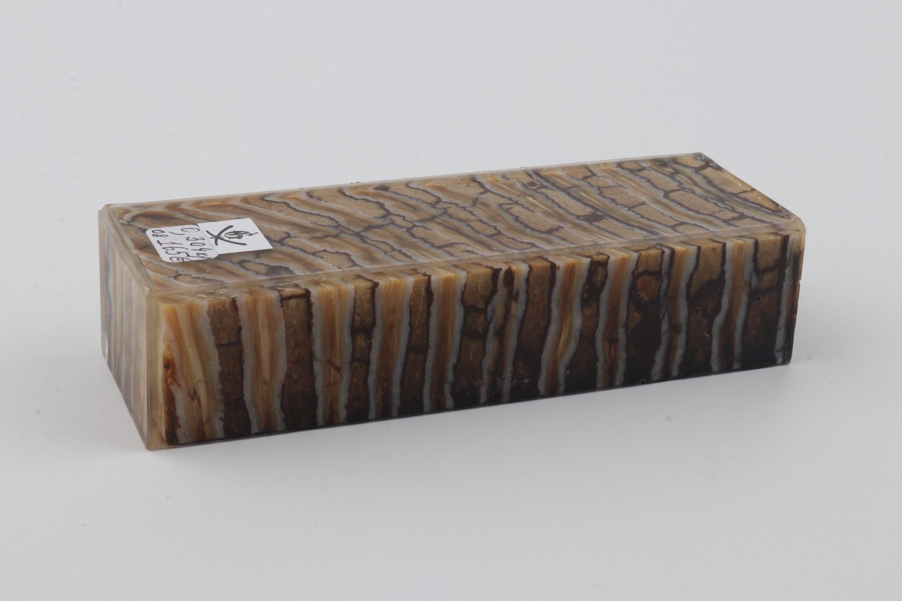 Stabilized mammoth molar block