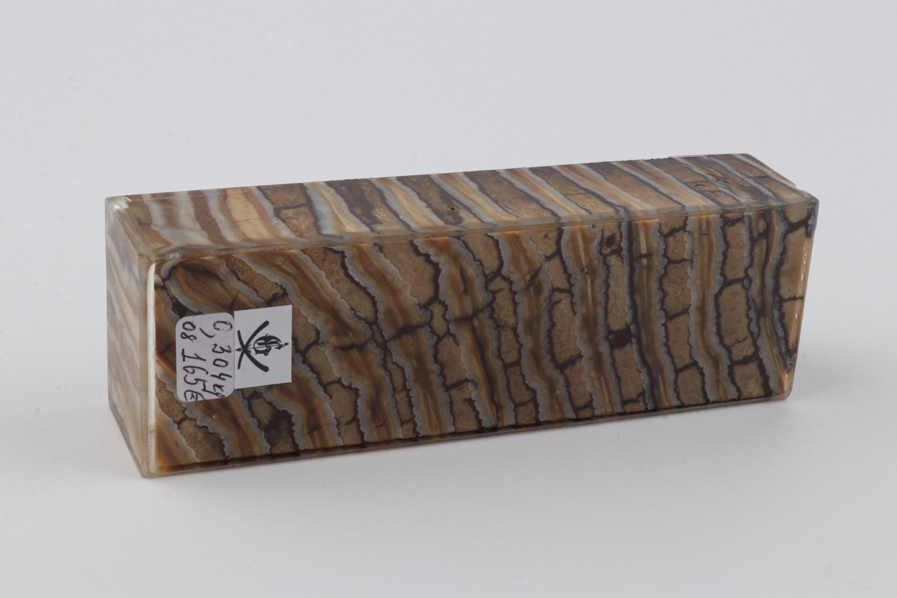 Stabilized mammoth molar block