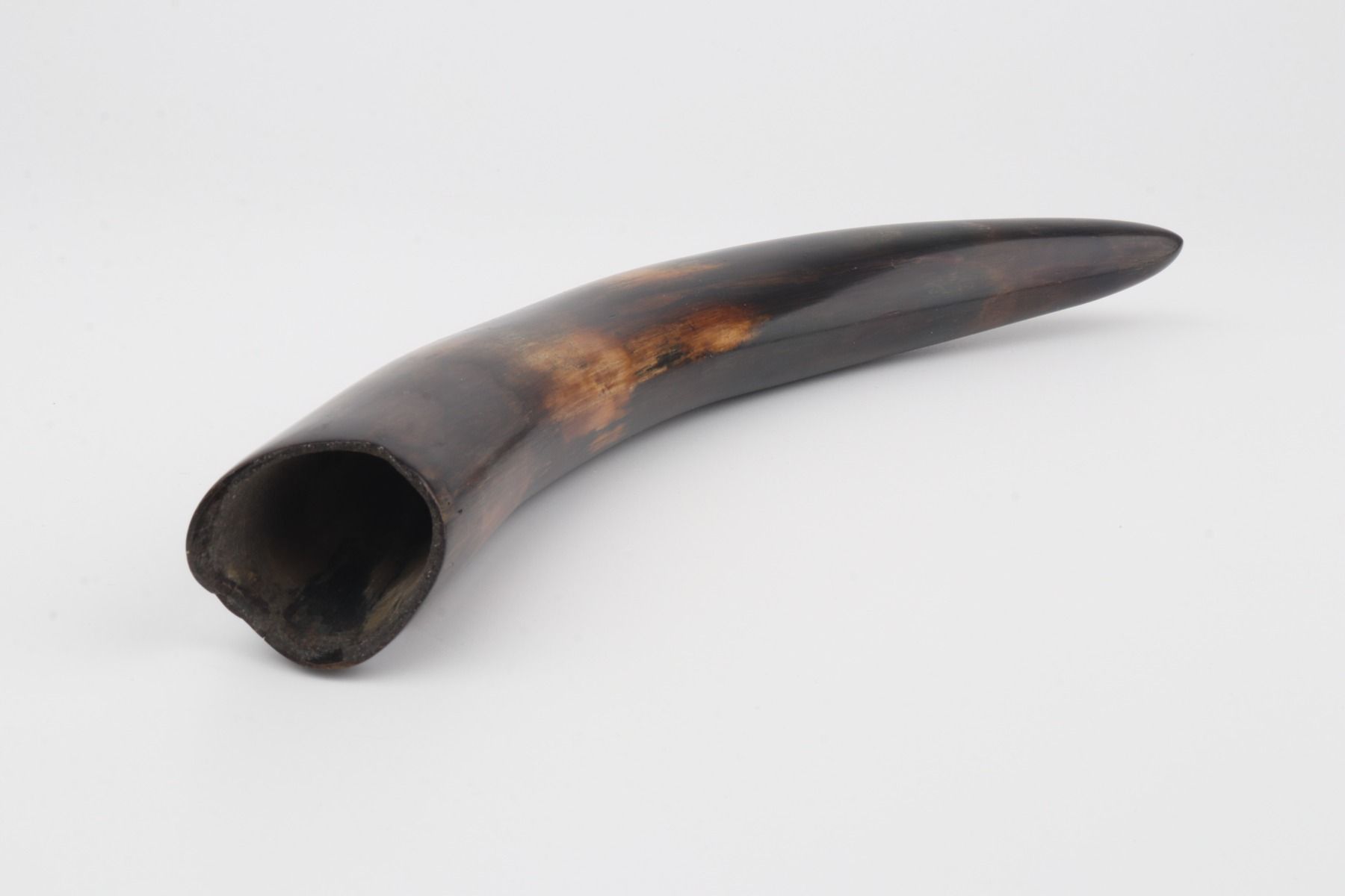 Restored mammoth tusk