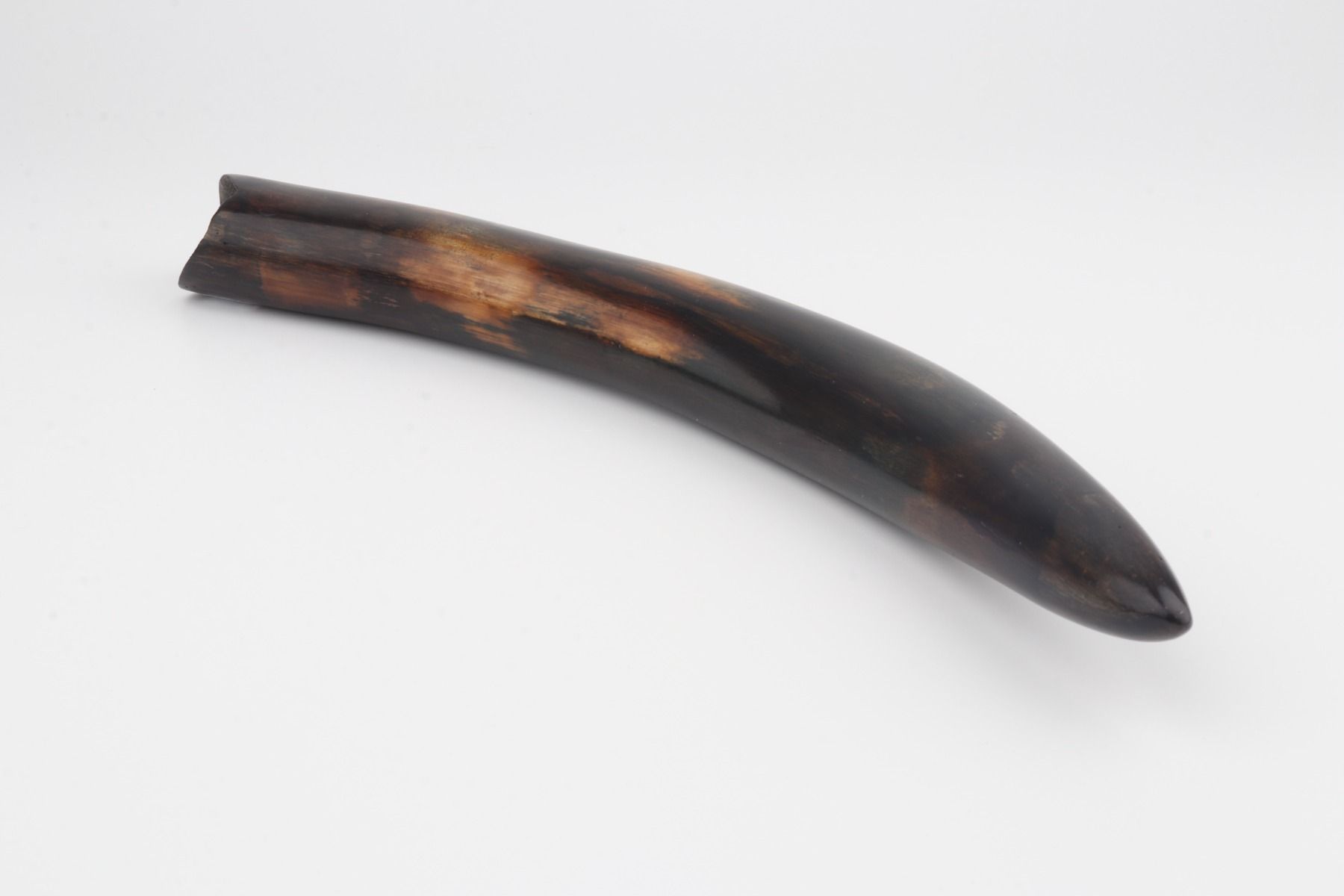 Restored mammoth tusk