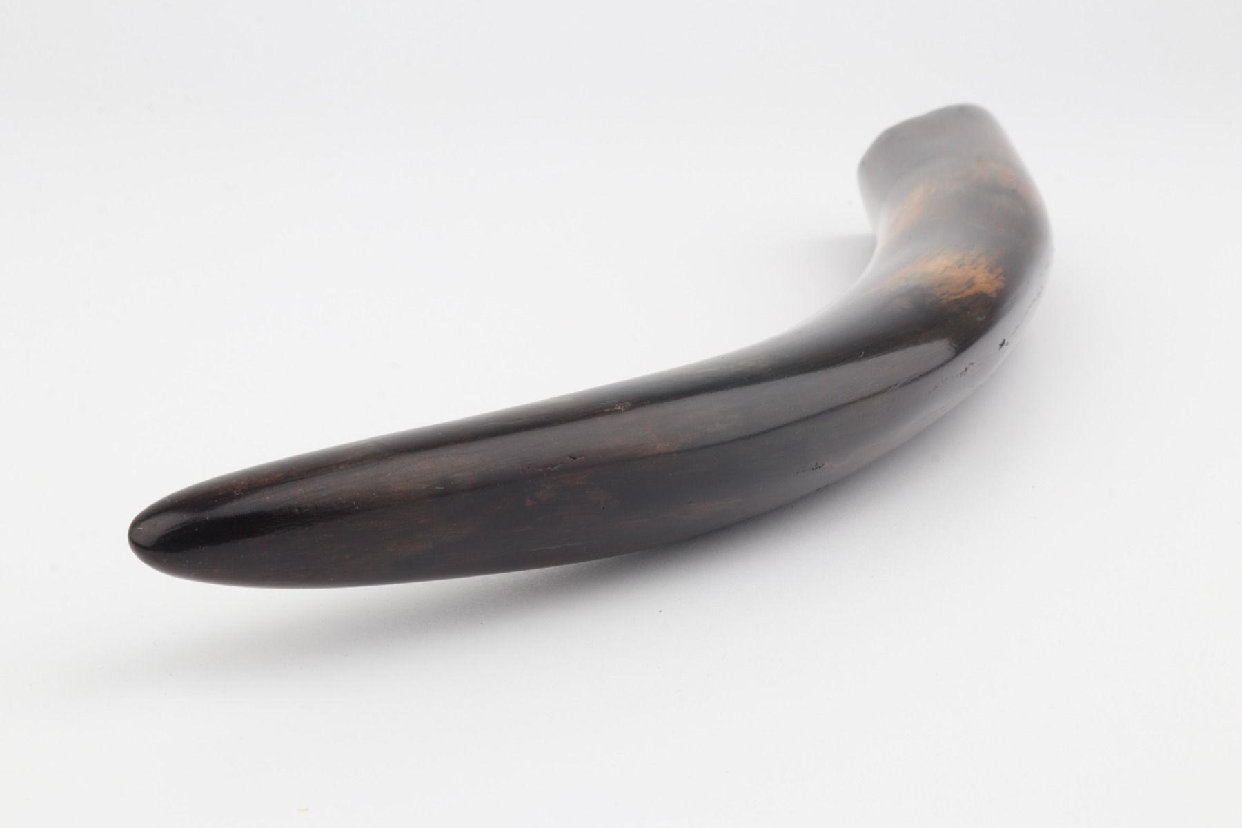 Restored mammoth tusk