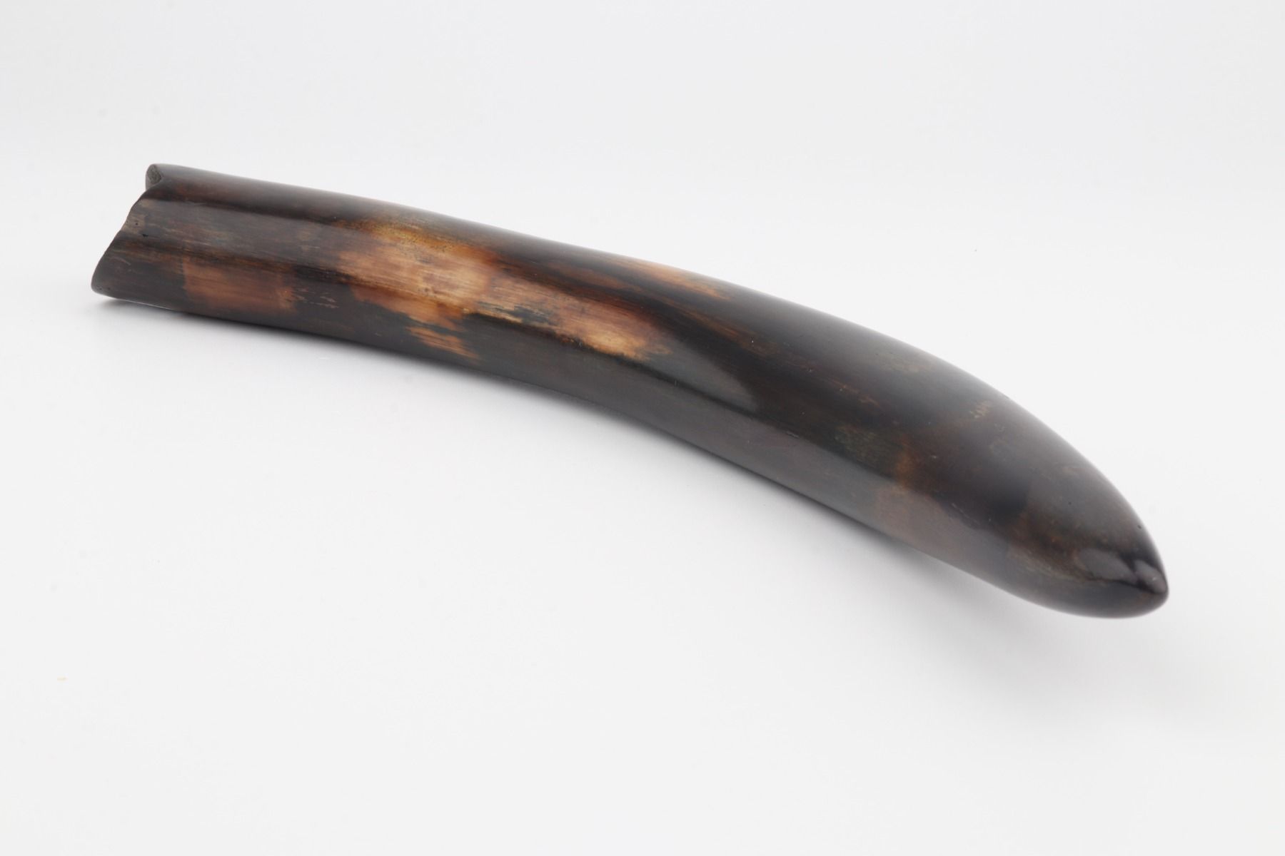 Restored mammoth tusk