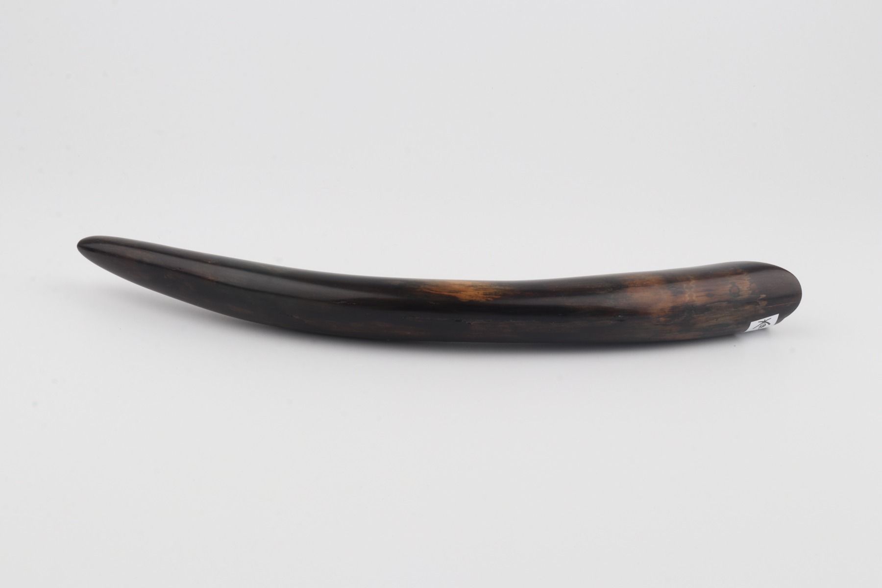 Restored mammoth tusk