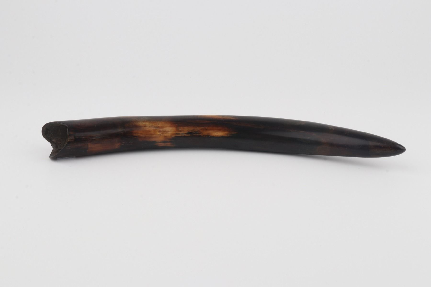 Restored mammoth tusk
