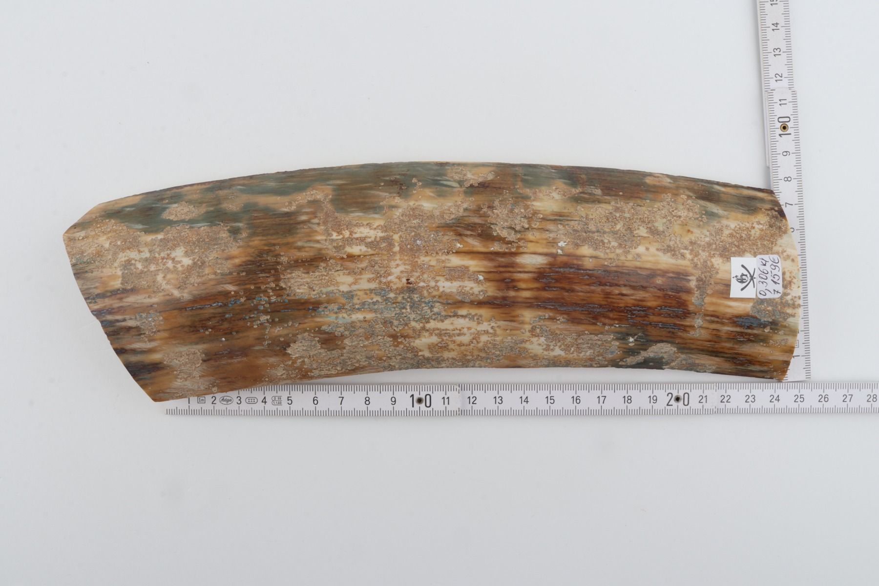 Natural mammoth bark