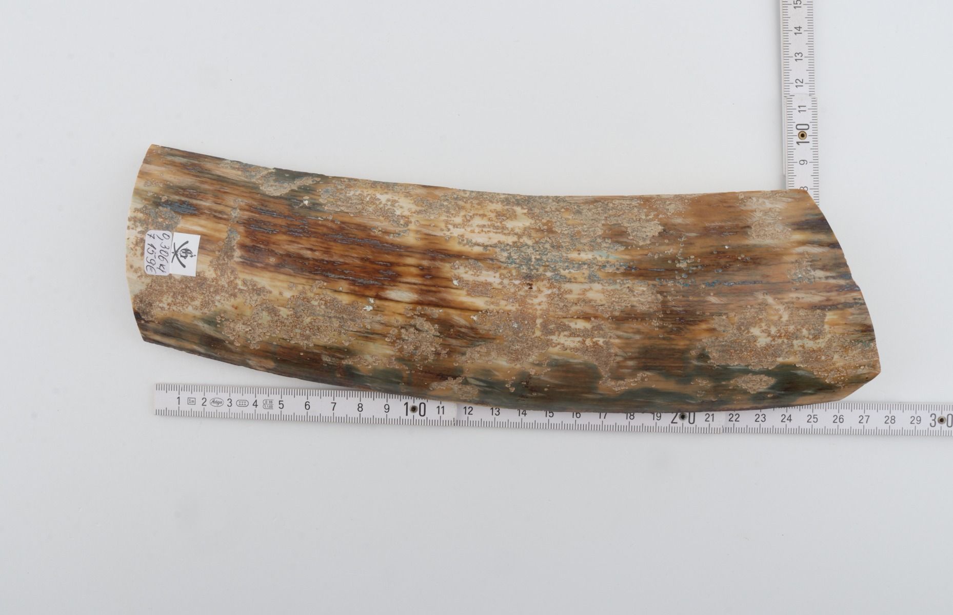 Natural mammoth bark