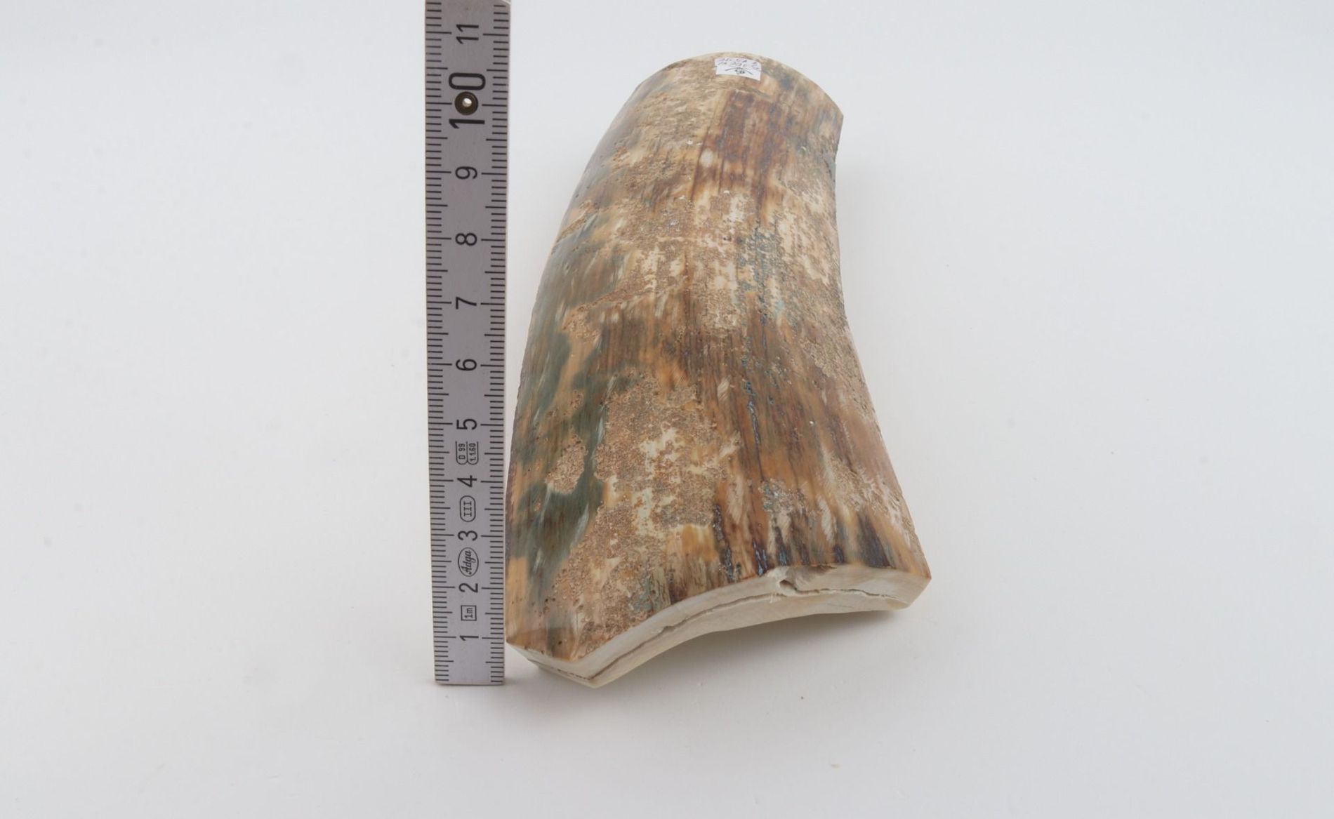 Natural mammoth bark