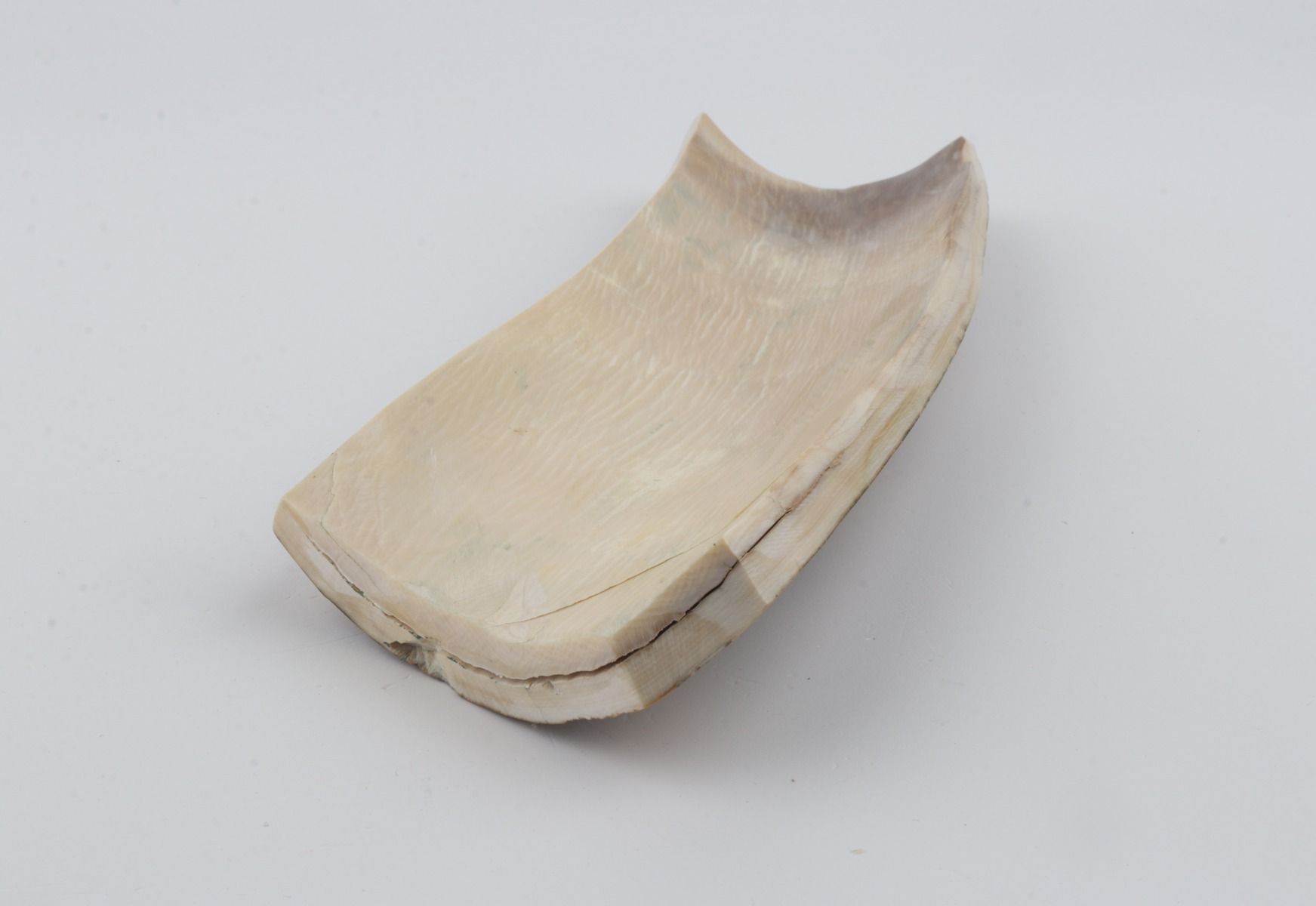 Natural mammoth bark