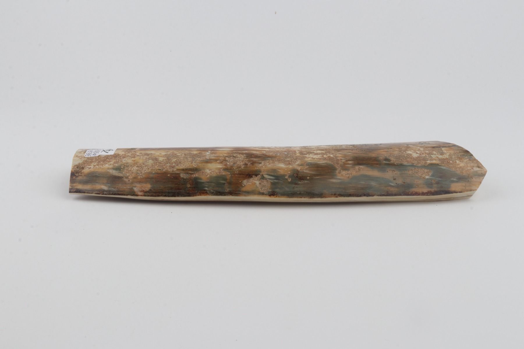 Natural mammoth bark