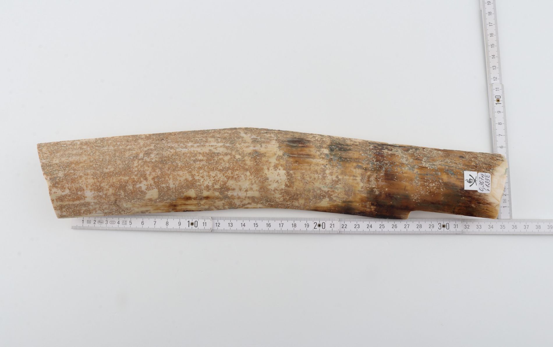 Beige mammoth bark 