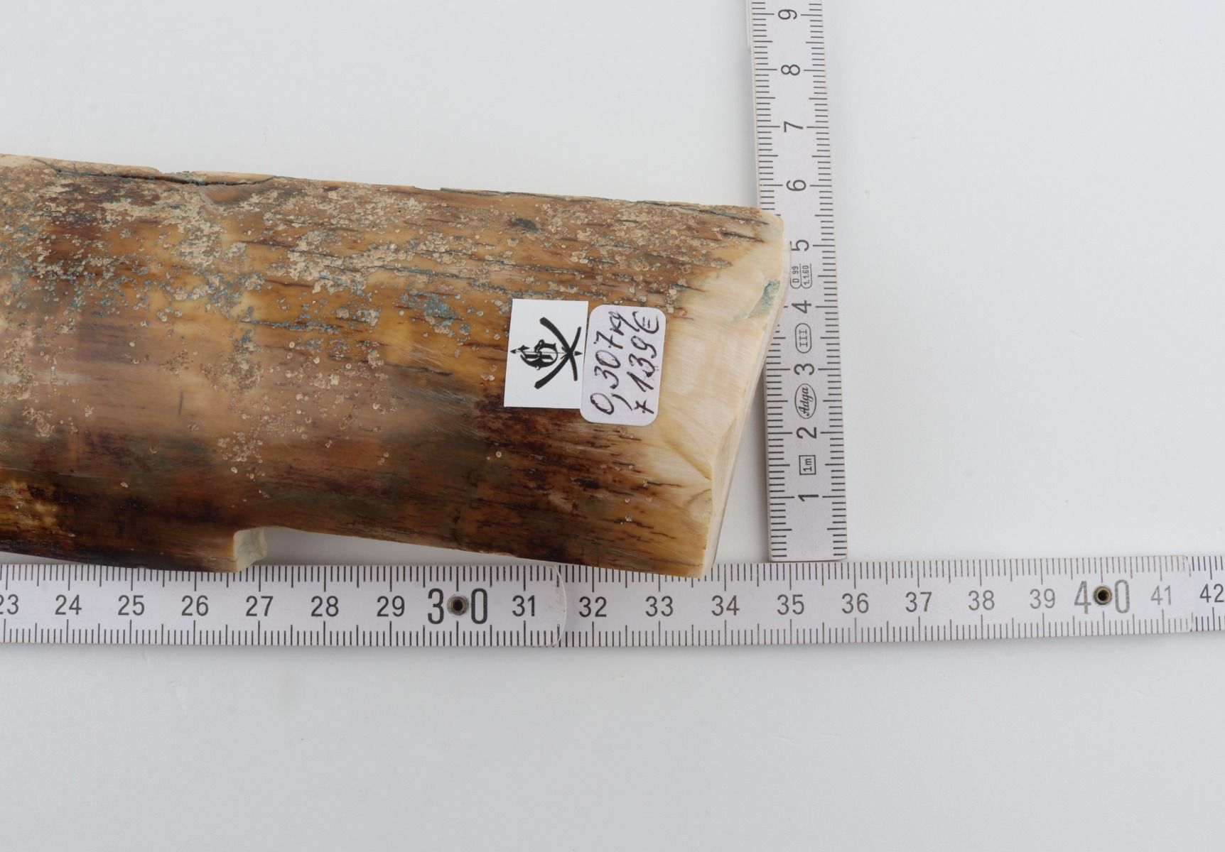 Beige mammoth bark 