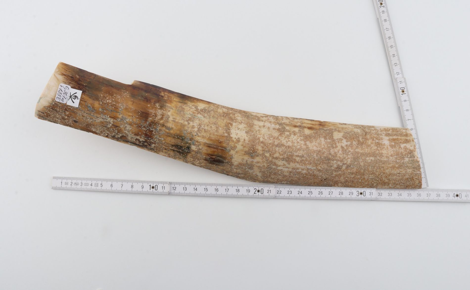 Beige mammoth bark 