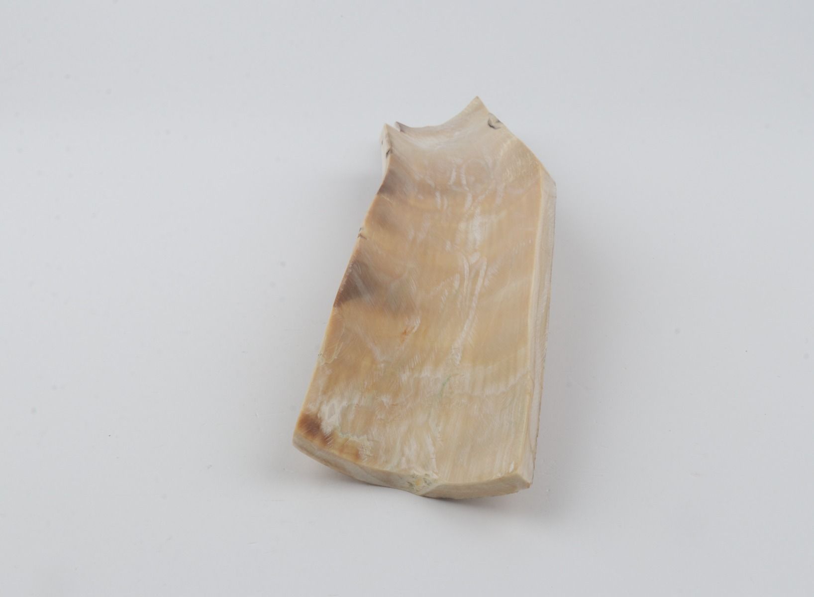 Beige mammoth bark 