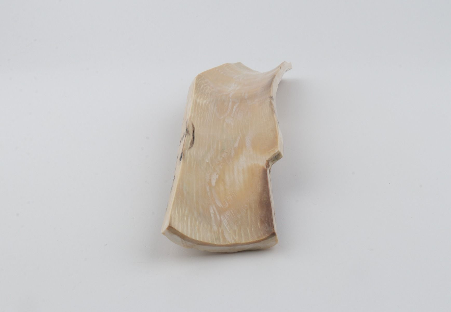 Beige mammoth bark 