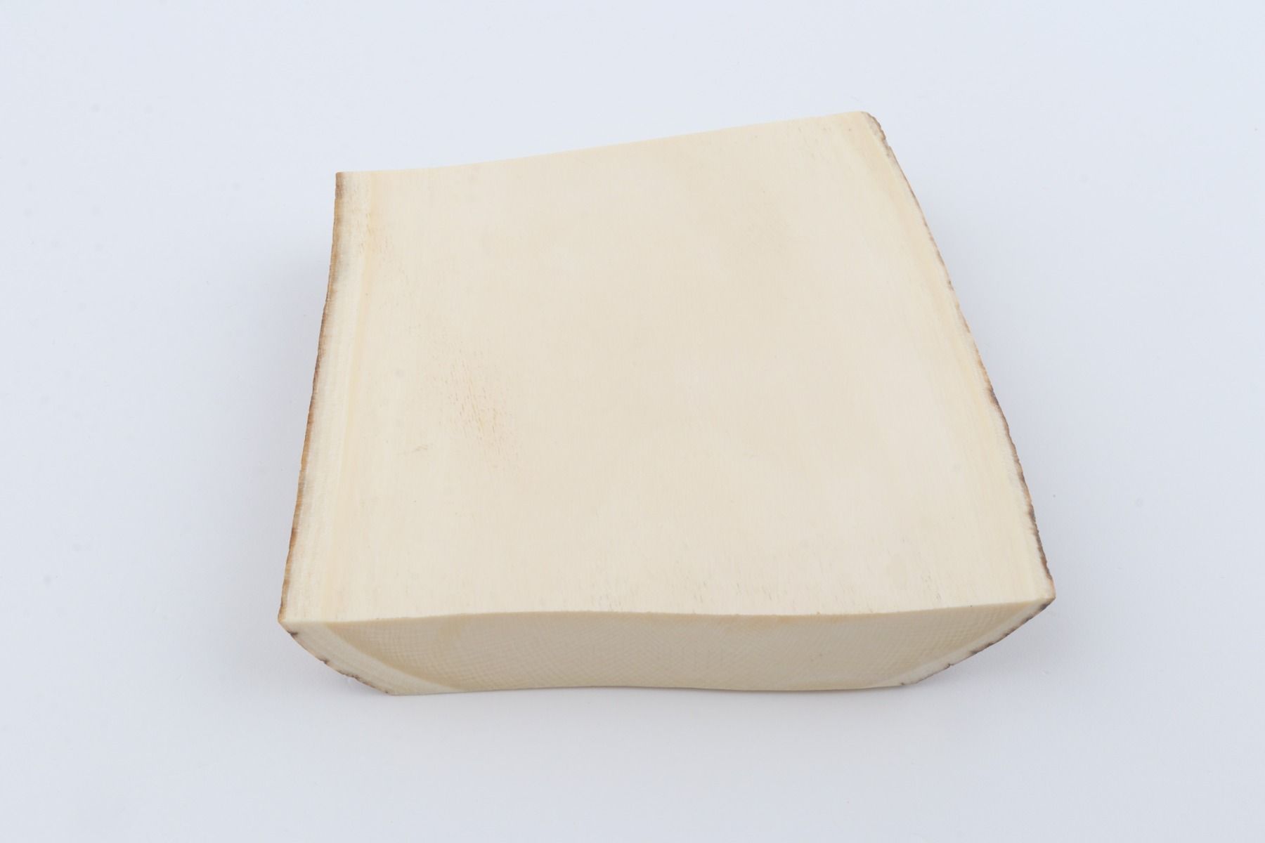 White mammoth ivory segment