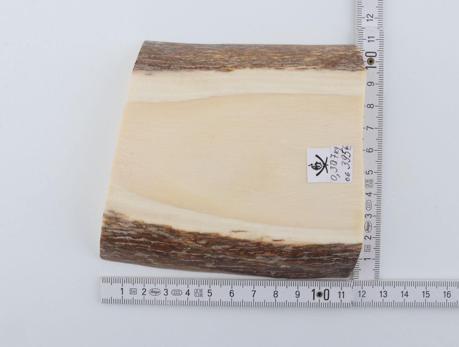 White mammoth ivory segment