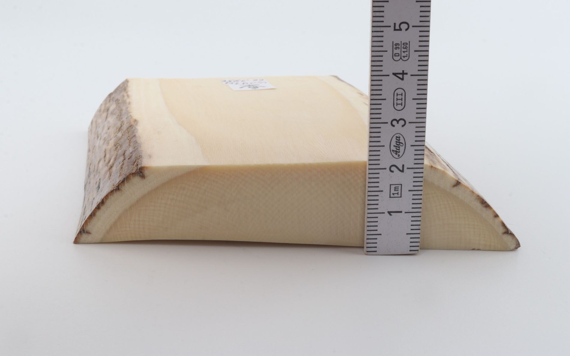 White mammoth ivory segment