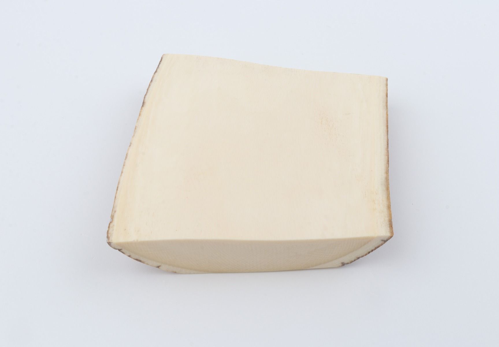 White mammoth ivory segment