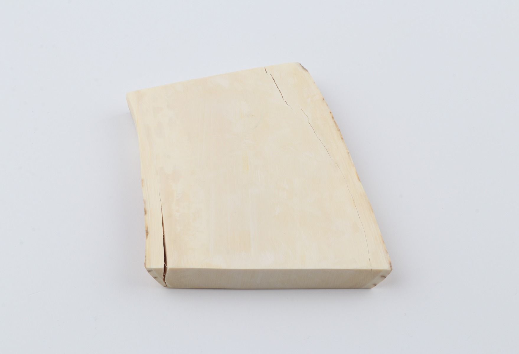 White mammoth ivory segment