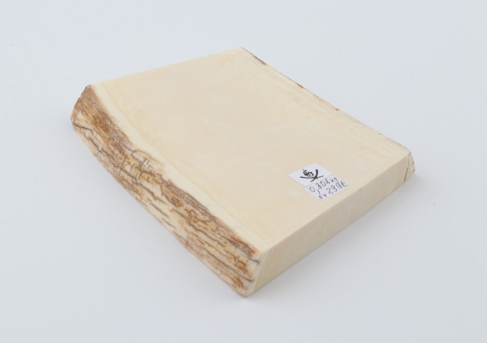 White mammoth ivory segment