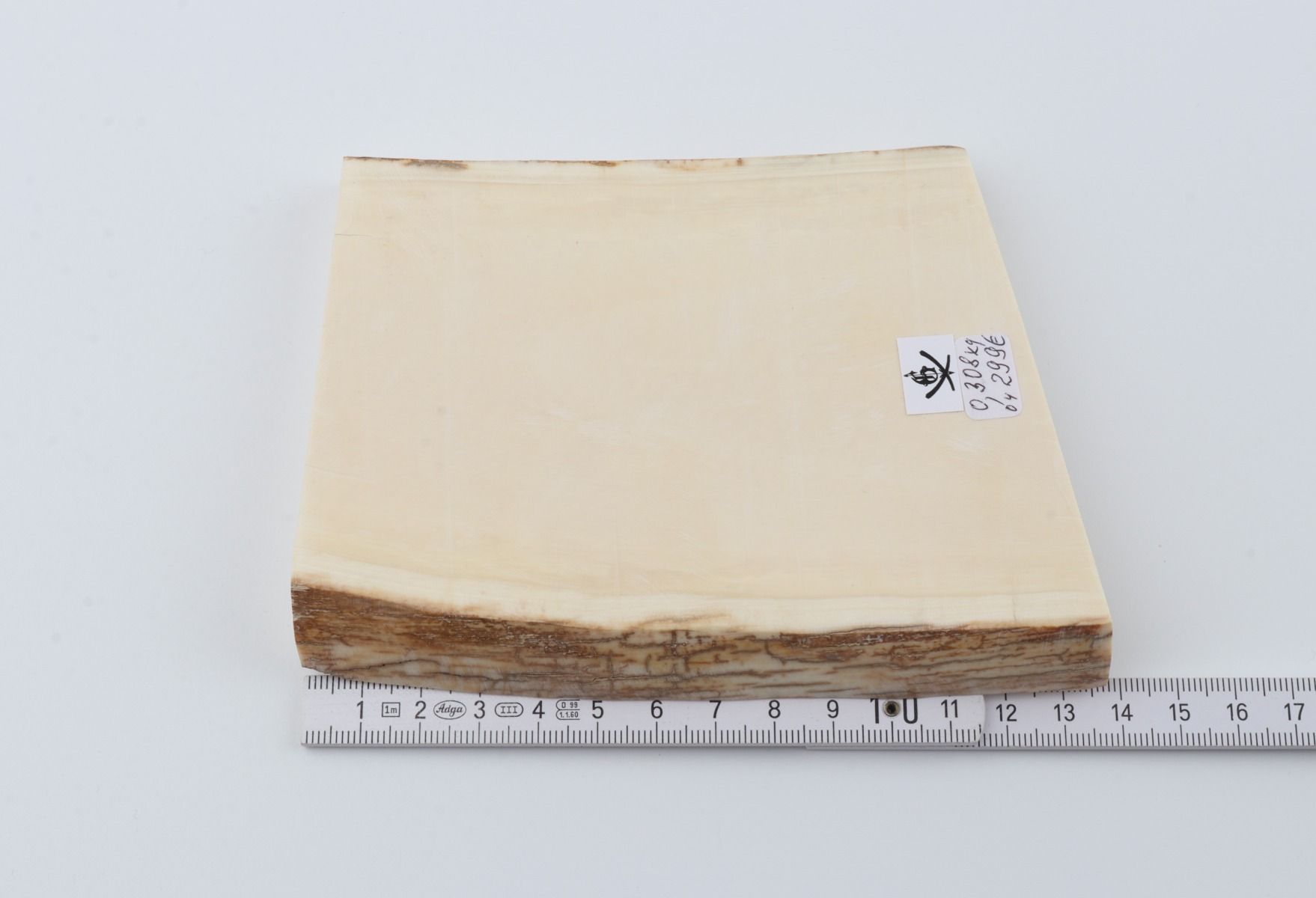 White mammoth ivory segment