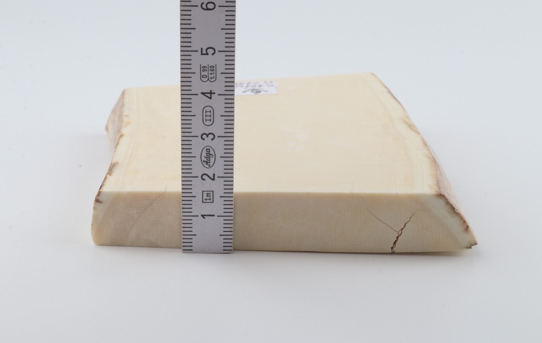 White mammoth ivory segment