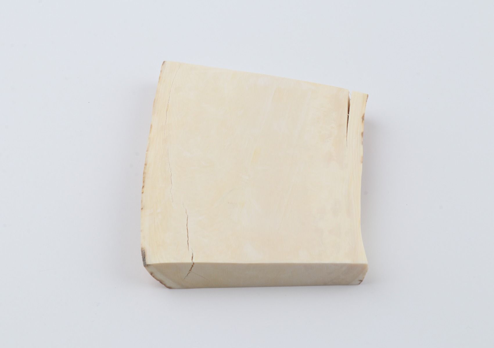 White mammoth ivory segment