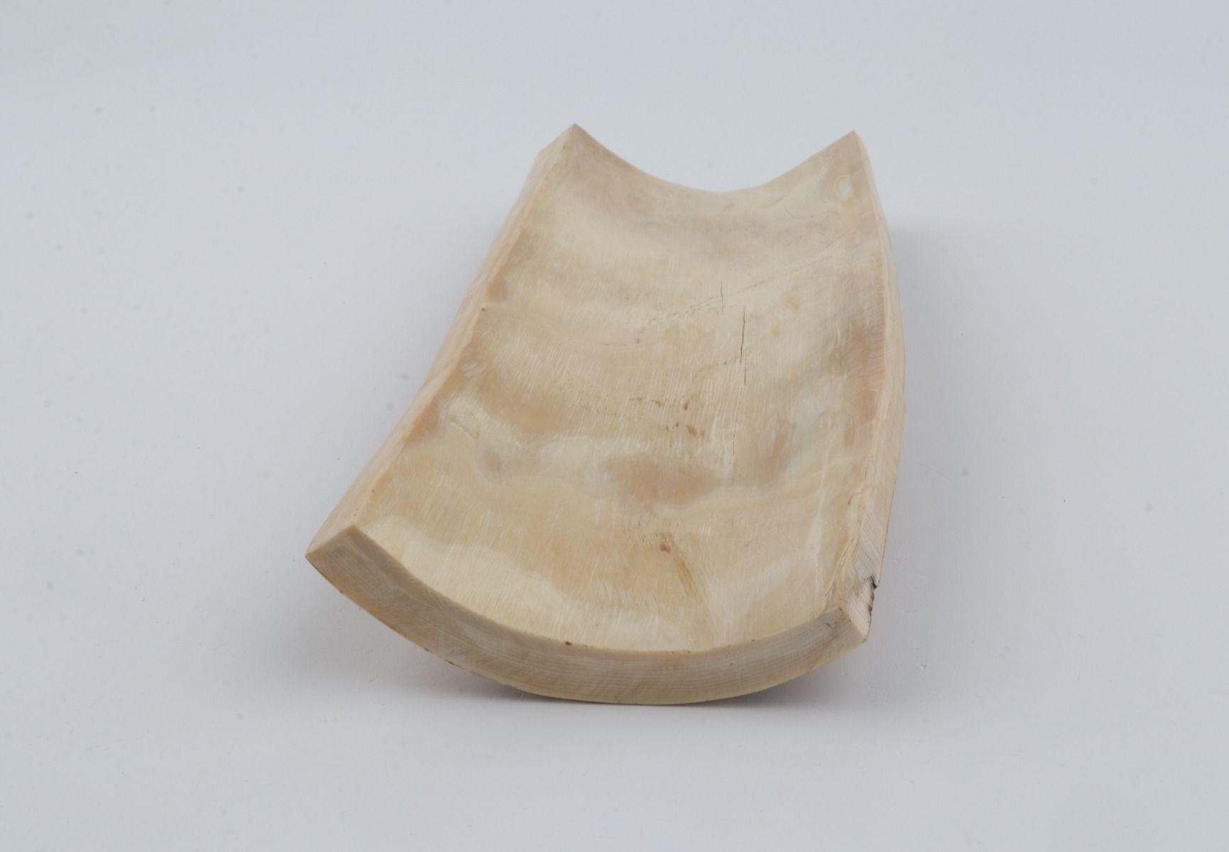 White-brown mammoth bark