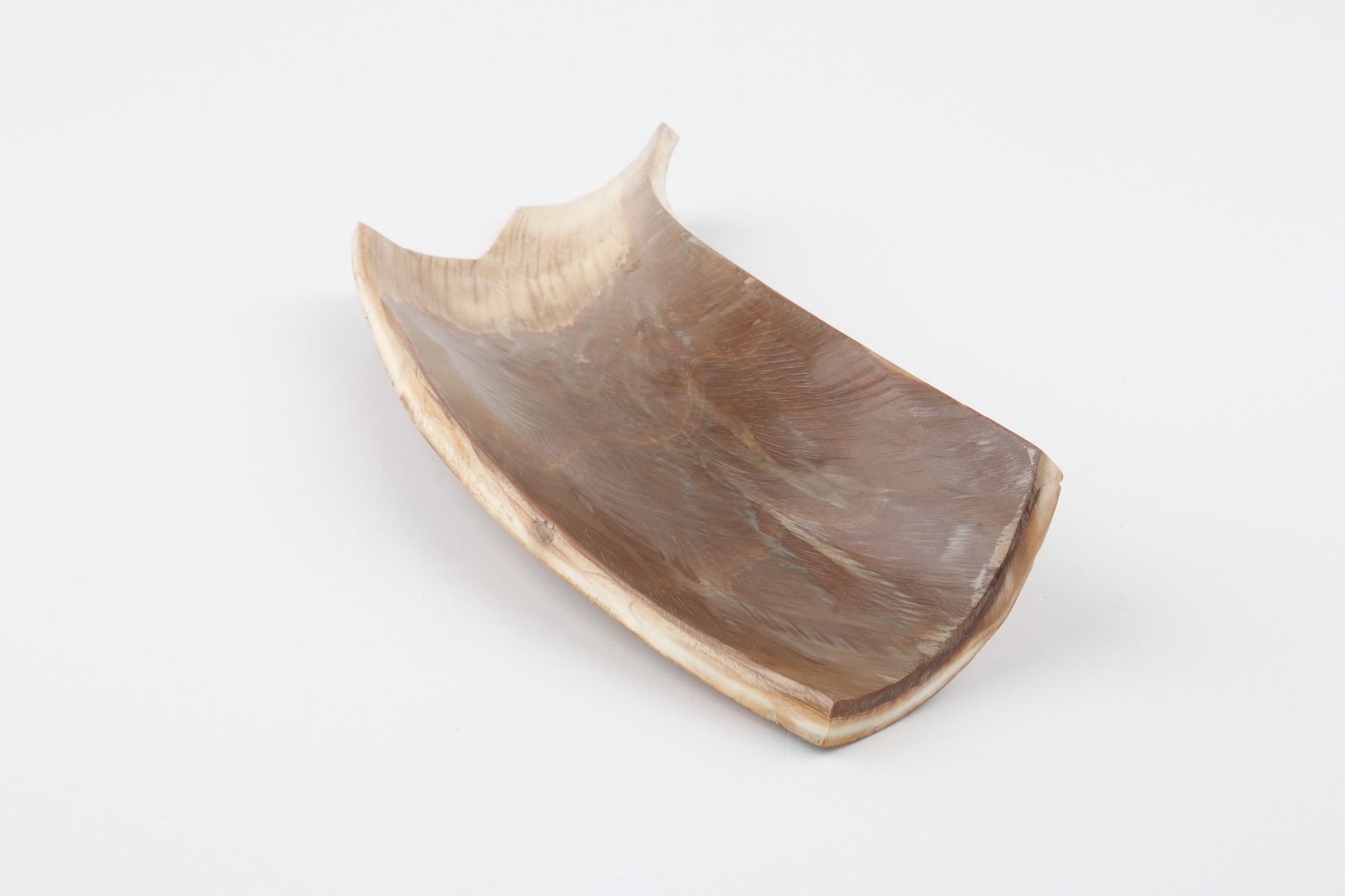Brown mammoth bark
