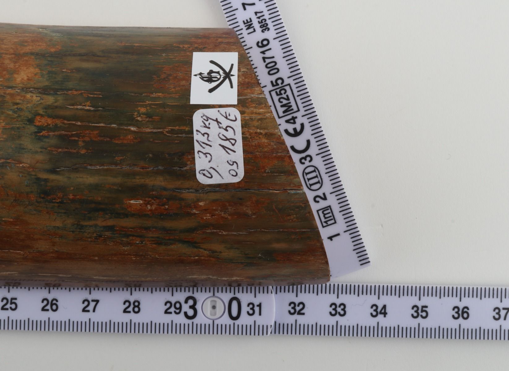 Beige-green mammoth bark