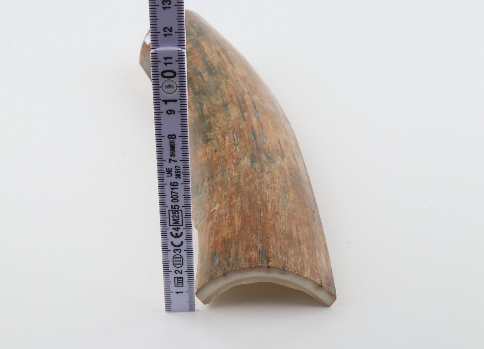 Beige-green mammoth bark