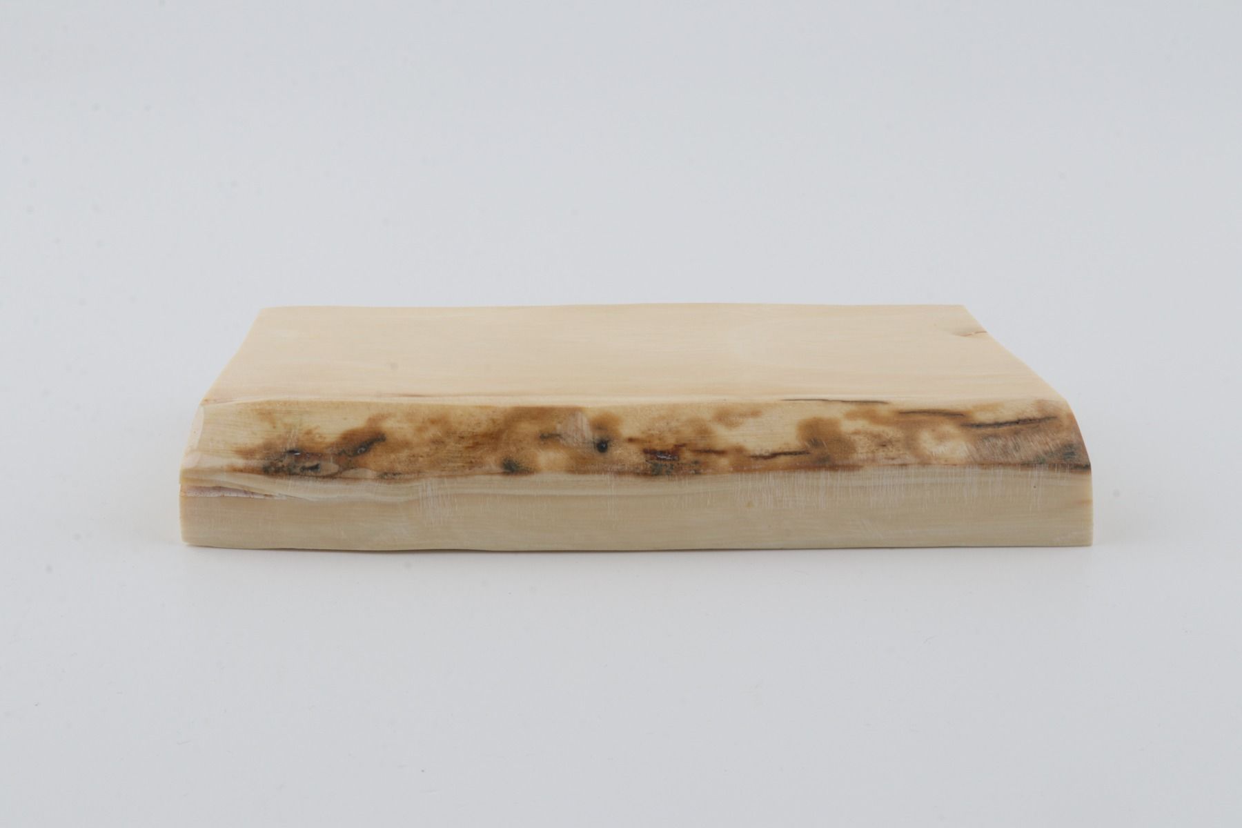 White mammoth ivory segment