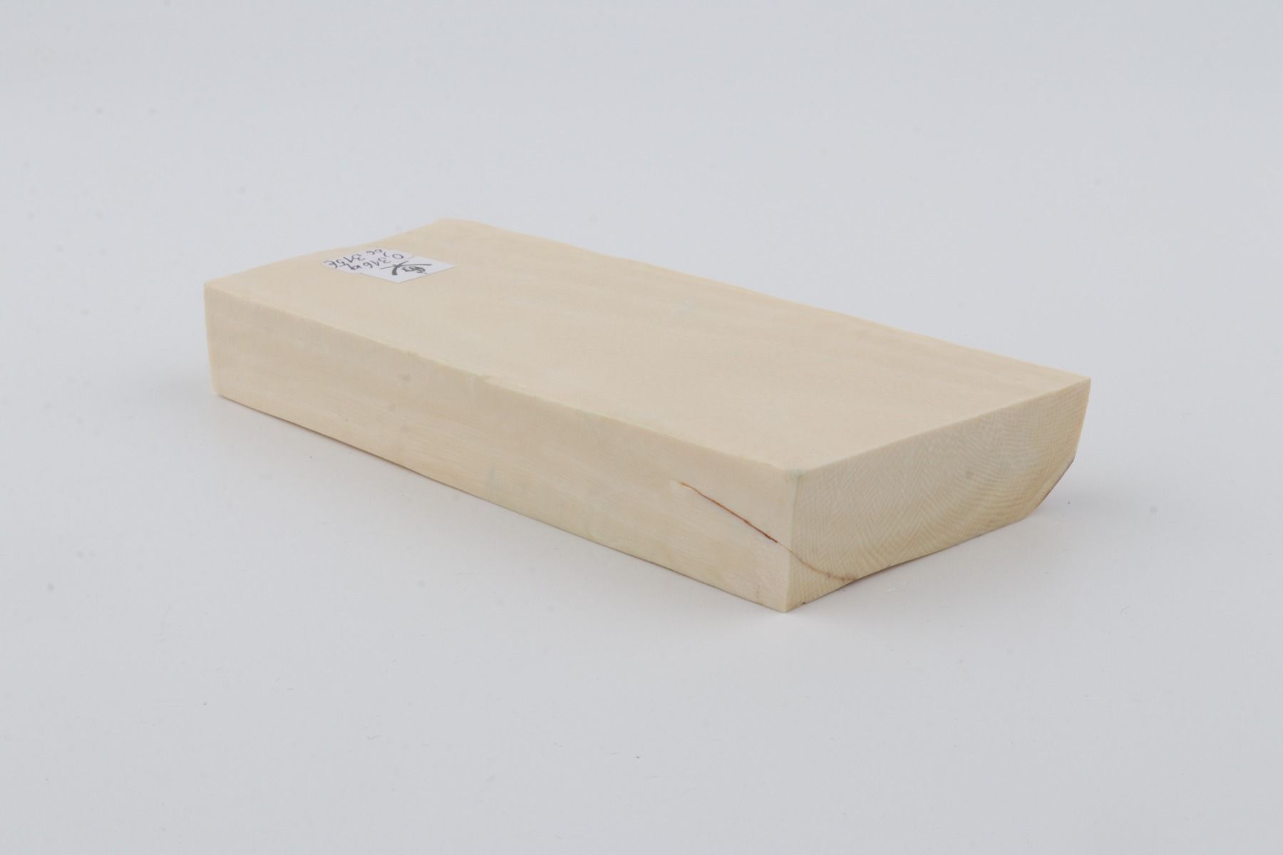 White mammoth ivory segment