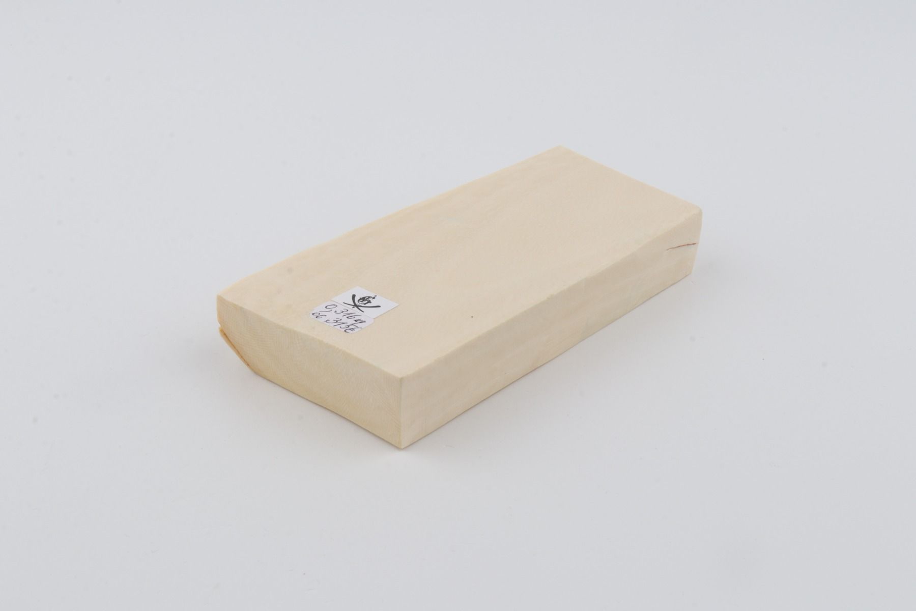 White mammoth ivory segment