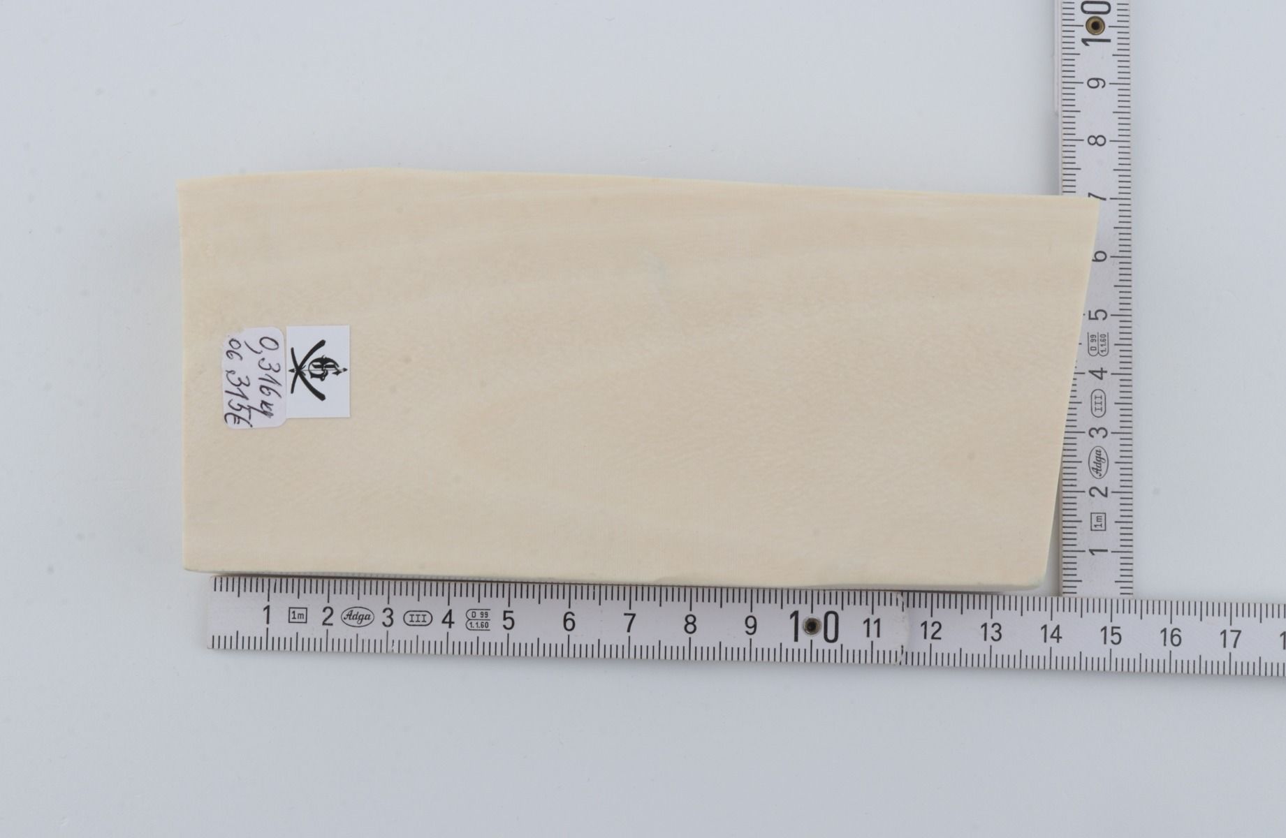 White mammoth ivory segment