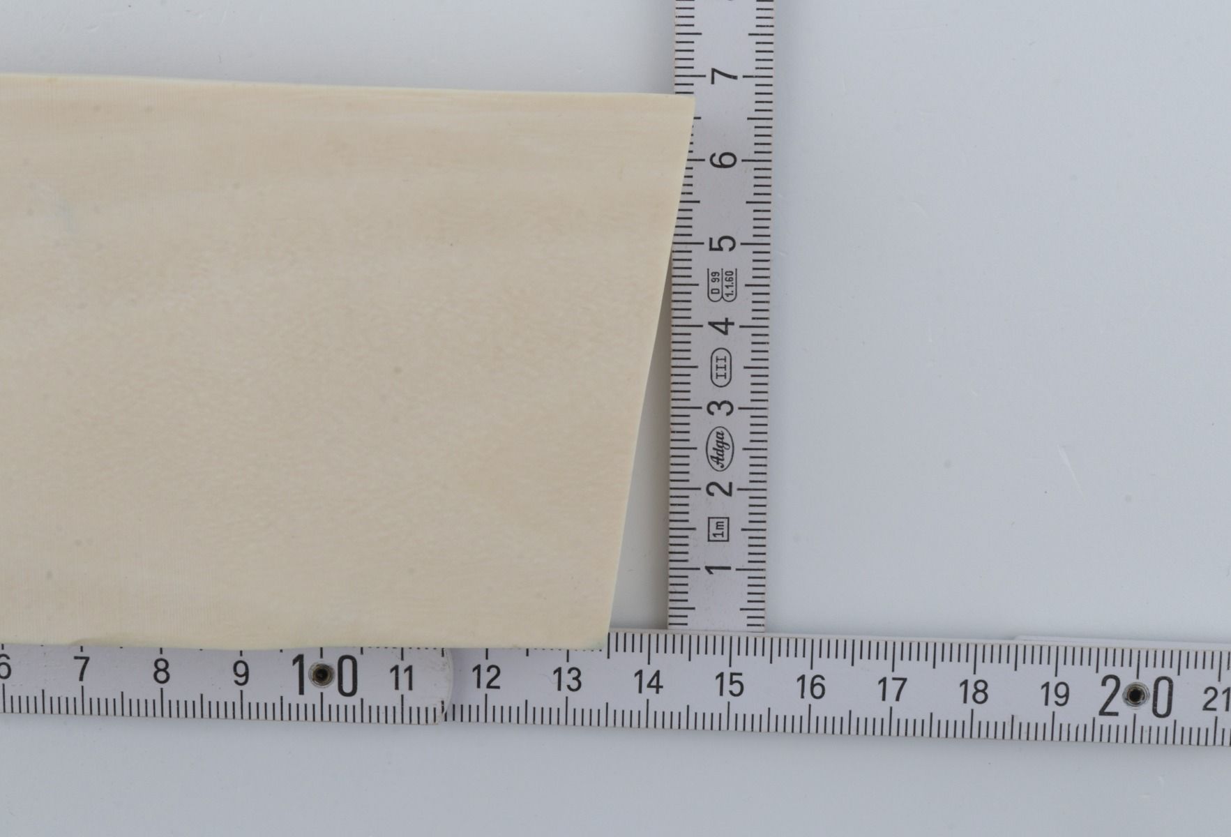 White mammoth ivory segment