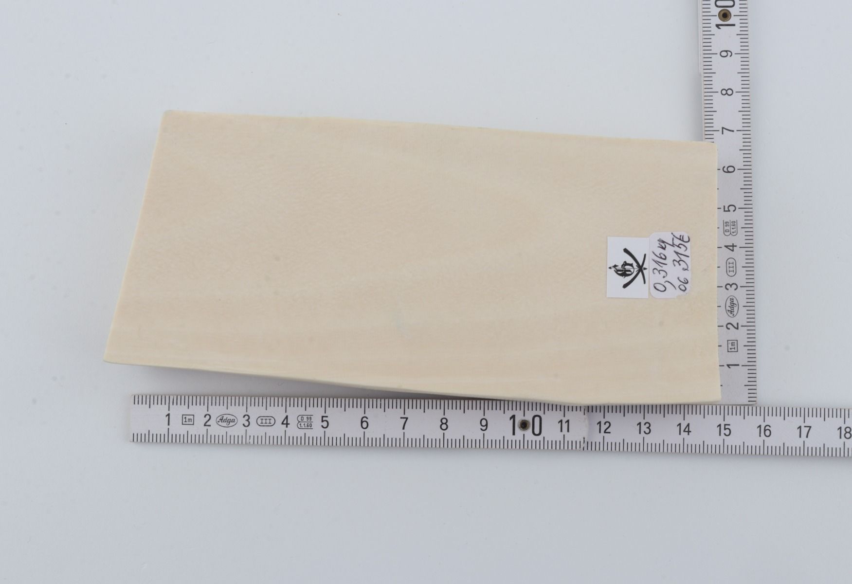 White mammoth ivory segment