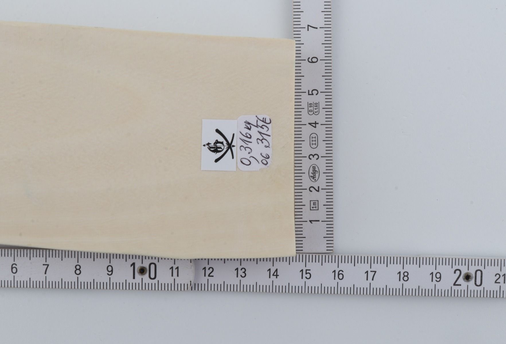 White mammoth ivory segment
