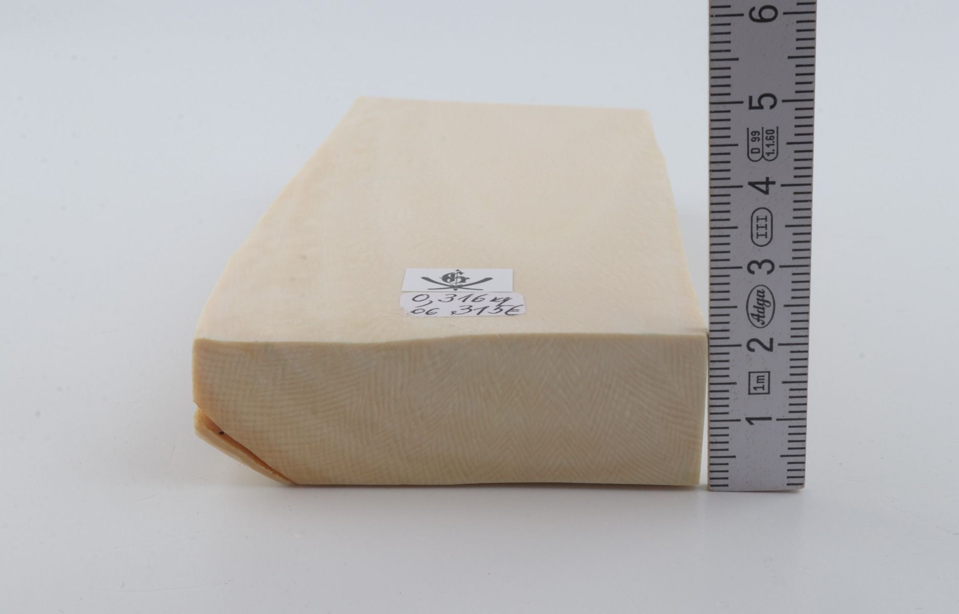 White mammoth ivory segment