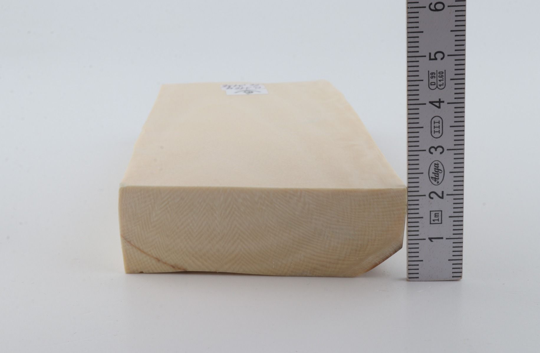 White mammoth ivory segment