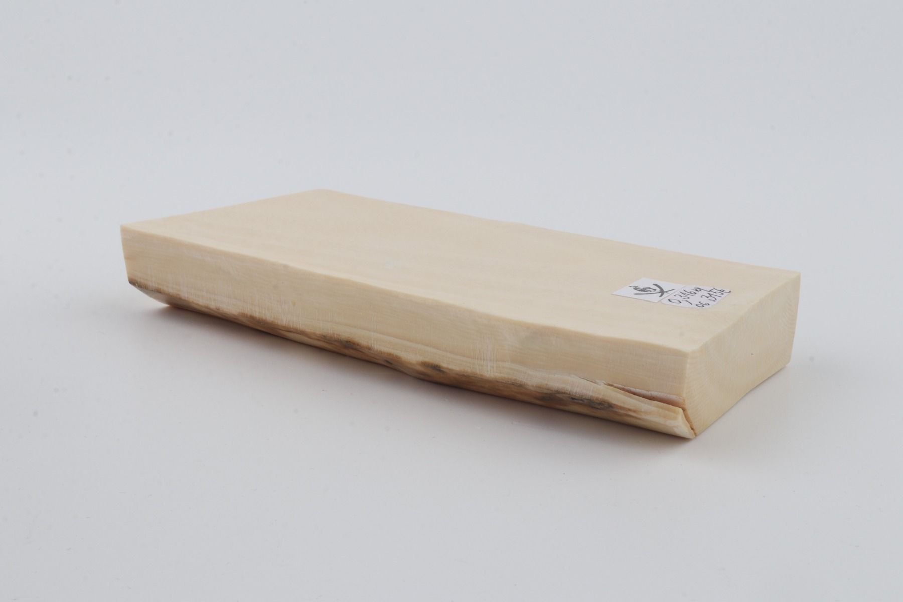 White mammoth ivory segment