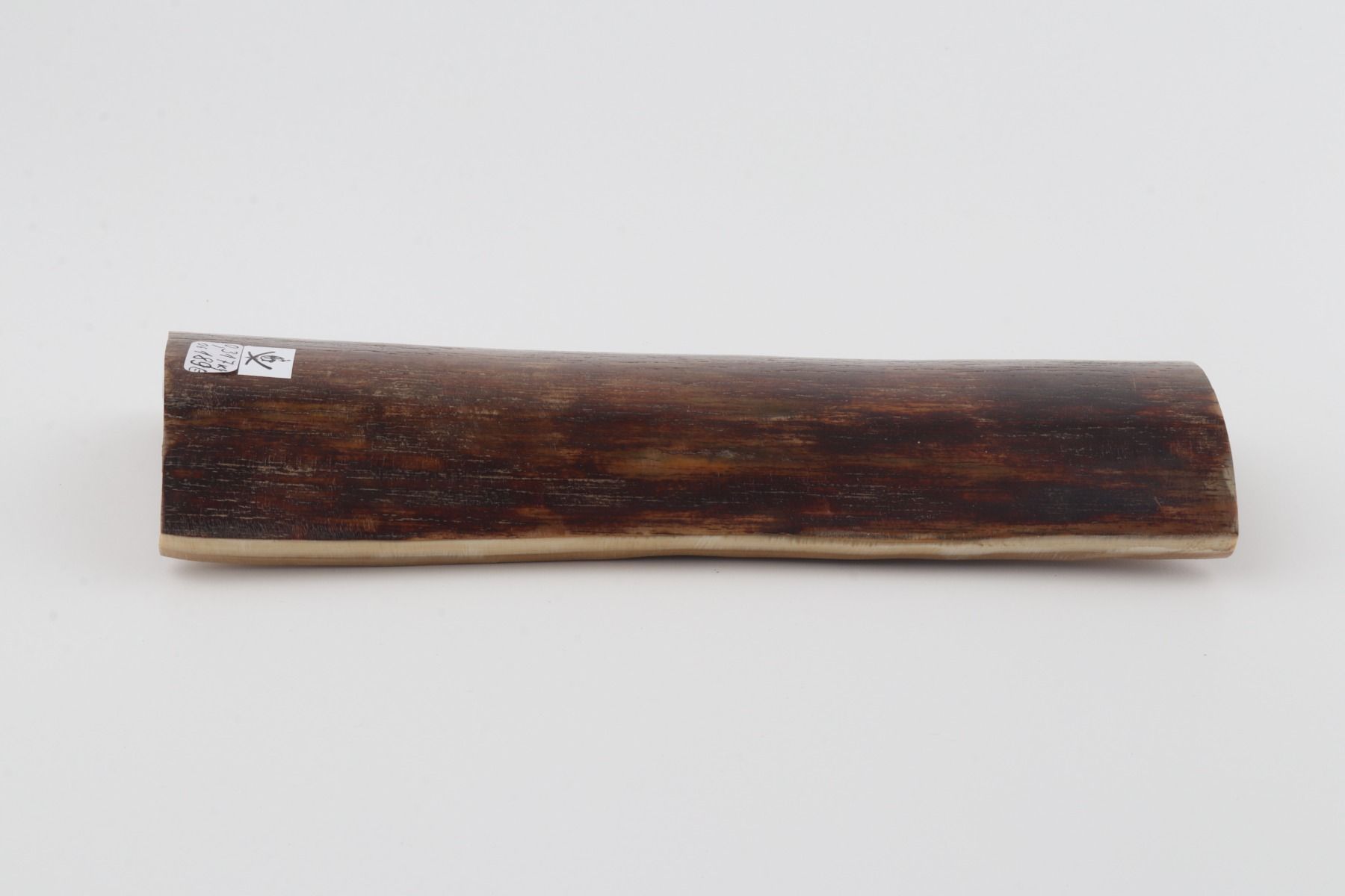 Brown mammoth bark