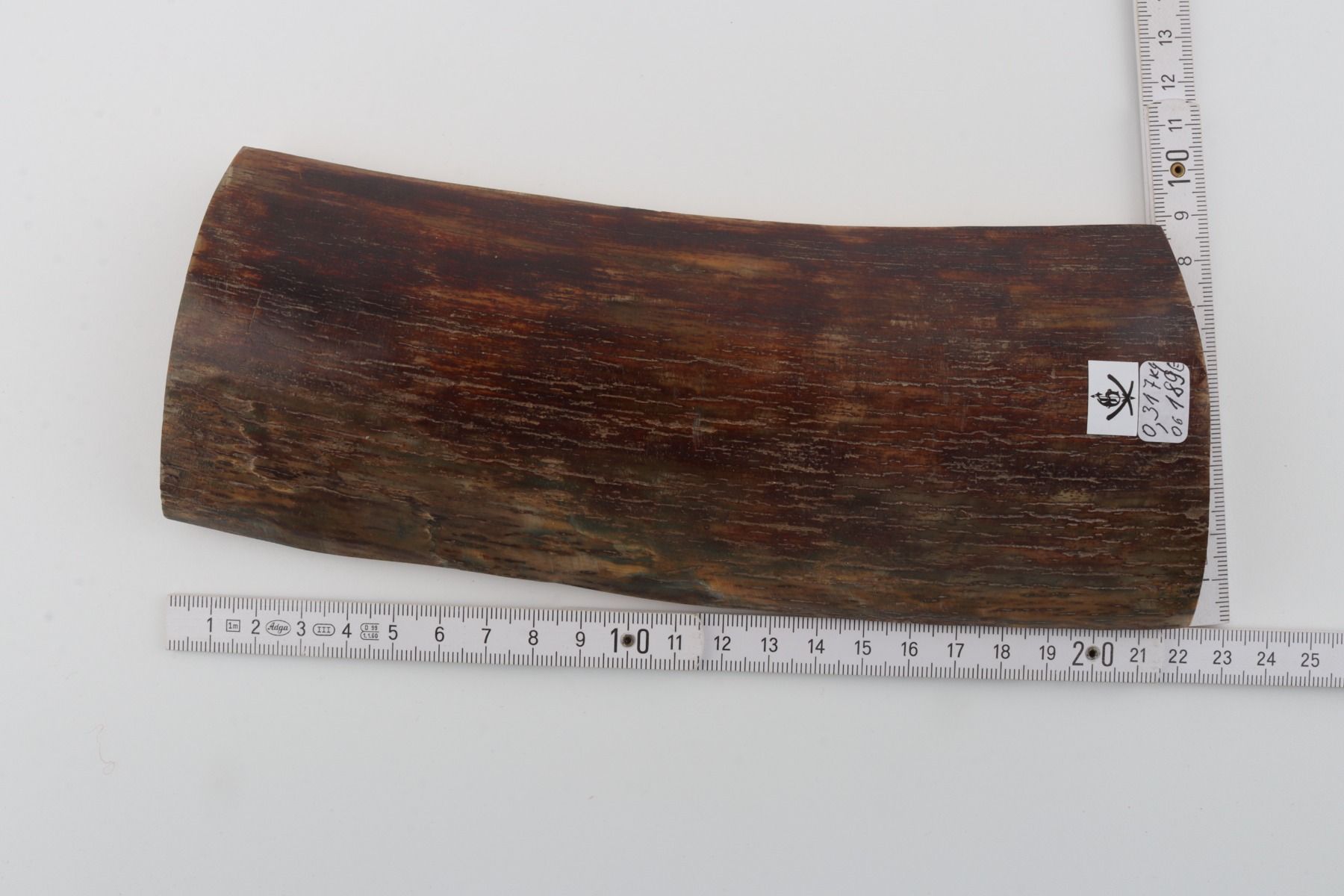 Brown mammoth bark