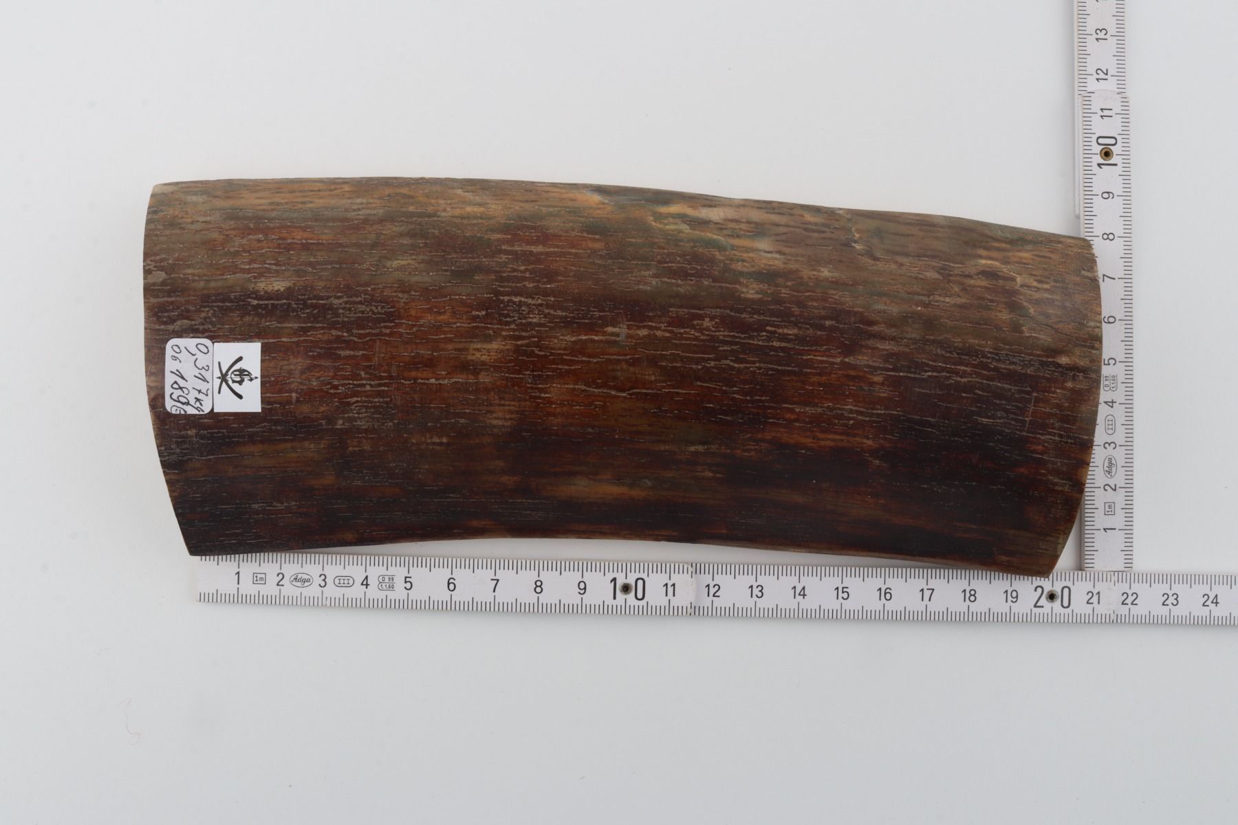 Brown mammoth bark