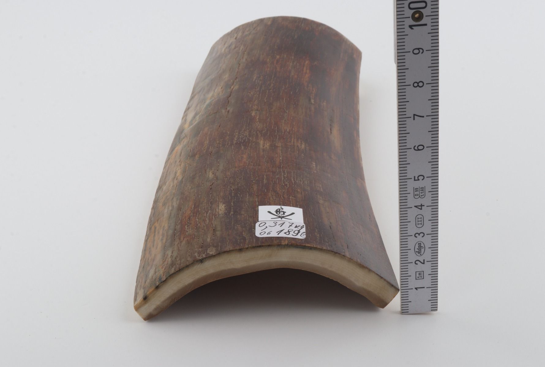 Brown mammoth bark